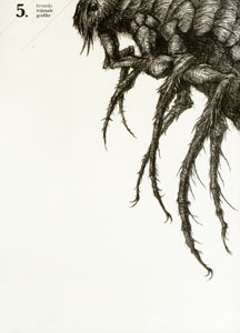 Triennial exhibition